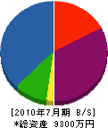 大島電機 貸借対照表 2010年7月期