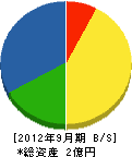 田中土建 貸借対照表 2012年9月期