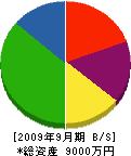石田住宅 貸借対照表 2009年9月期