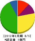 西岡土木 貸借対照表 2012年6月期