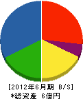 江坂設備工業 貸借対照表 2012年6月期