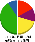 富山電気ビルディング 貸借対照表 2010年3月期