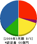 平井工業 貸借対照表 2009年3月期