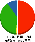 西沢電機 貸借対照表 2012年3月期