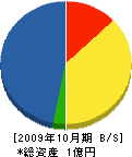 松井建設 貸借対照表 2009年10月期