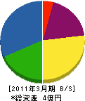 柳澤設備 貸借対照表 2011年3月期