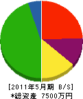 野村組 貸借対照表 2011年5月期