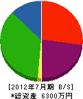 竹内工務店 貸借対照表 2012年7月期