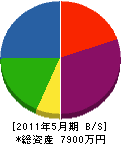 川原組 貸借対照表 2011年5月期