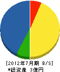 小野寺電機商会 貸借対照表 2012年7月期