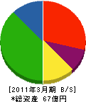 野村興産ヤマト環境センター 貸借対照表 2011年3月期