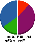 総武電気工業 貸借対照表 2009年9月期