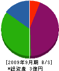 中山環境エンジ 貸借対照表 2009年9月期