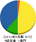 田中組 貸借対照表 2012年8月期