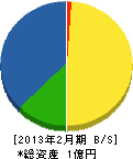 久保田商店 貸借対照表 2013年2月期