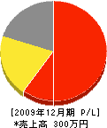 稲福タタミ店 損益計算書 2009年12月期