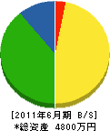 藤崎建設 貸借対照表 2011年6月期