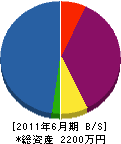 長田電気設備 貸借対照表 2011年6月期