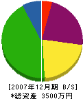 児玉組 貸借対照表 2007年12月期