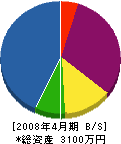 豊田電工 貸借対照表 2008年4月期