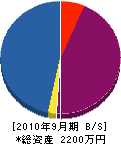 日置川電設 貸借対照表 2010年9月期