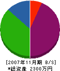 木村設備 貸借対照表 2007年11月期
