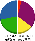 シブタニ 貸借対照表 2011年12月期