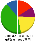 小野電気商会 貸借対照表 2009年10月期