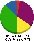 田中電気 貸借対照表 2013年3月期
