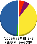 松永造園 貸借対照表 2008年12月期