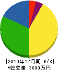松居土木 貸借対照表 2010年12月期