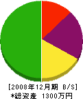 宮川塗装店 貸借対照表 2008年12月期