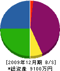 新日本興業 貸借対照表 2009年12月期