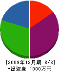 藤井住設 貸借対照表 2009年12月期