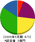 小松建設 貸借対照表 2009年9月期