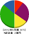 水田建設 貸借対照表 2012年6月期