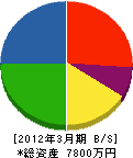 ライフライン岩崎 貸借対照表 2012年3月期