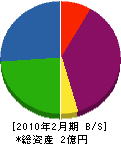 徳島ゴーレックス工業 貸借対照表 2010年2月期