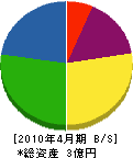 生垣電興社 貸借対照表 2010年4月期