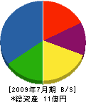積田電業社 貸借対照表 2009年7月期