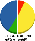 大濱燃料 貸借対照表 2012年6月期