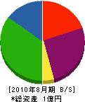 寺澤電業社 貸借対照表 2010年8月期