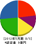 千島工務店 貸借対照表 2012年5月期