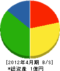 ワキムラ塗装店 貸借対照表 2012年4月期