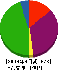 川島土木 貸借対照表 2009年9月期