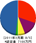 板谷産業 貸借対照表 2011年3月期