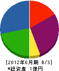 本田工務店 貸借対照表 2012年6月期