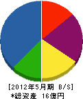 松本伊 貸借対照表 2012年5月期