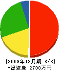 嶋田畳店 貸借対照表 2009年12月期