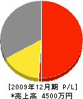 藤垣電気商会 損益計算書 2009年12月期